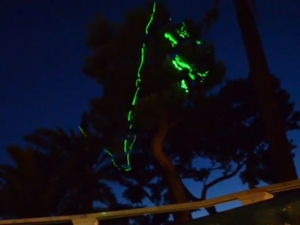 Babylon Disco Lemon Tree, TinaB, Capri, 2013, installation view, Tina B Festival, Anacapri, Naples, 2013