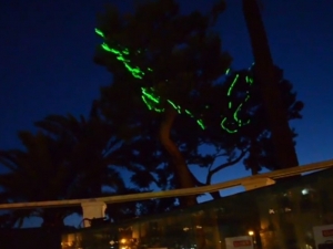 Babylon Disco Lemon Tree, TinaB, Capri, 2013, installation view, Tina B Festival, Anacapri, Naples, 2013